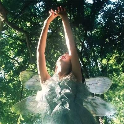 你似星辰入梦来